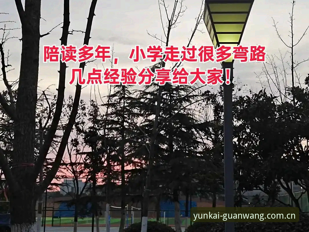 随手看云开平台登录怎么样？别被“顺手”坑了，这份避坑对比帮你少走弯路